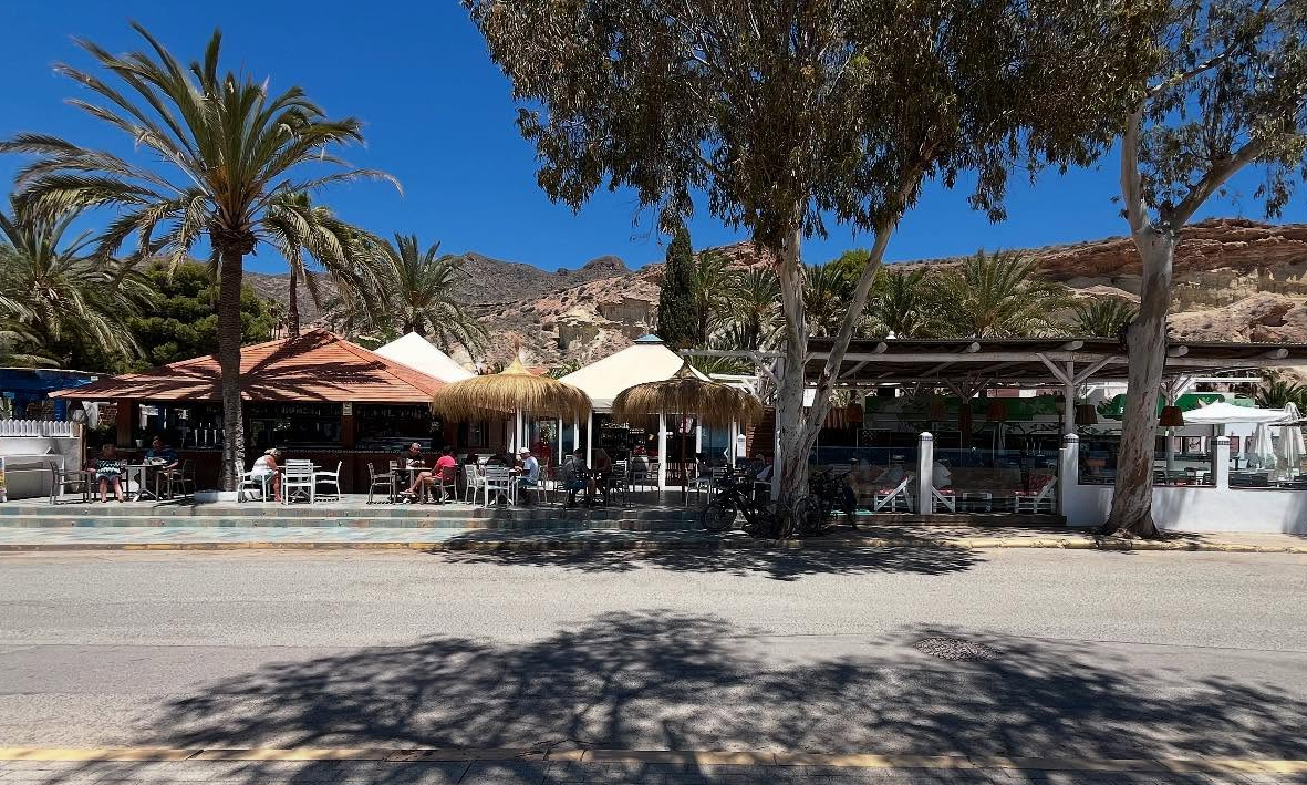 oasis de las palmeras bolnuevo 4