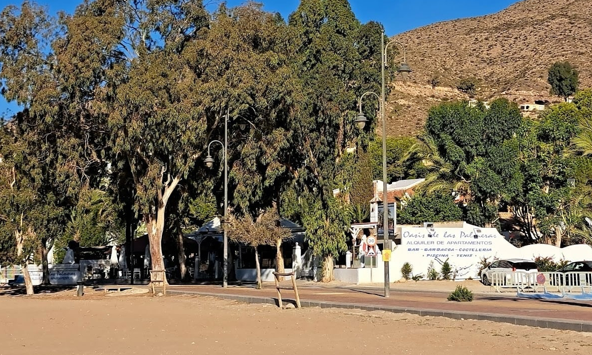 oasis de las palmeras bolnuevo