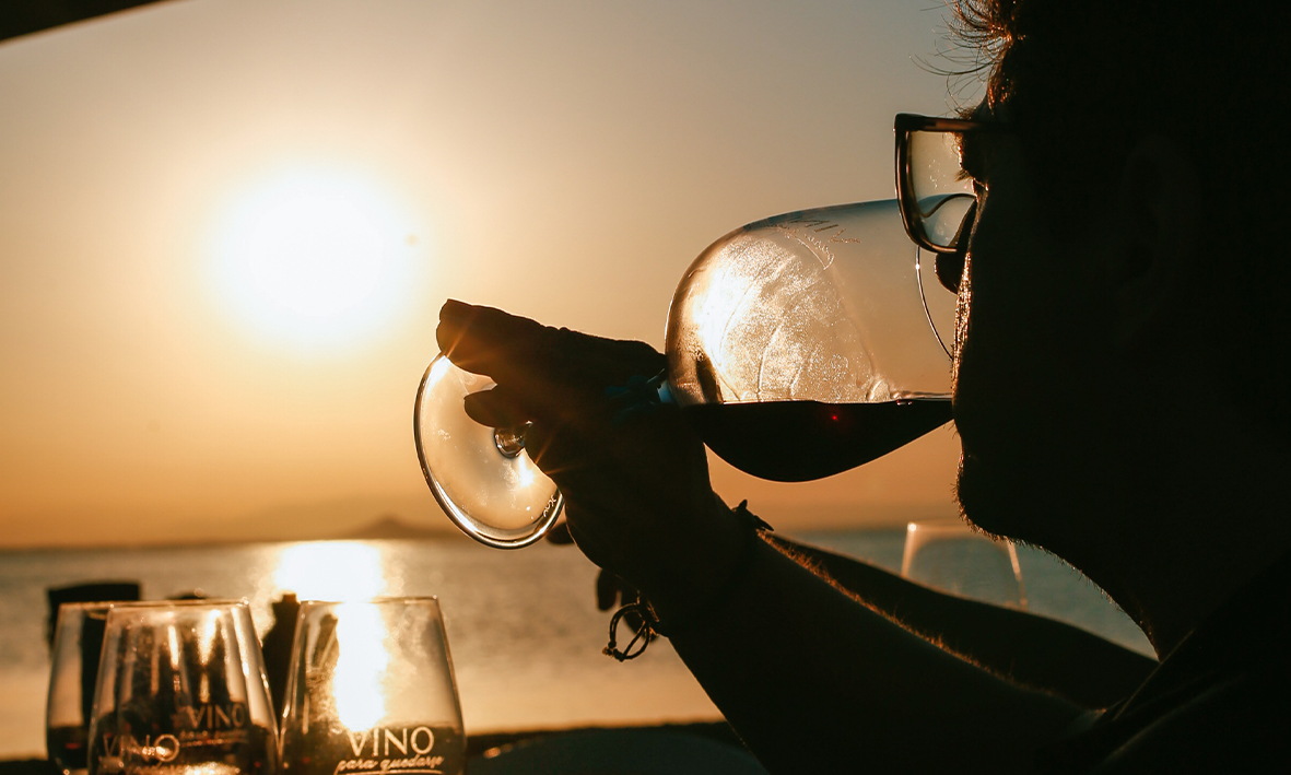 vika vinocronikas vino para quedarse 006