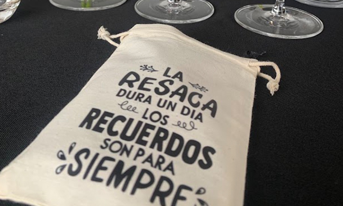 vika vinocronikas vino para quedarse 1