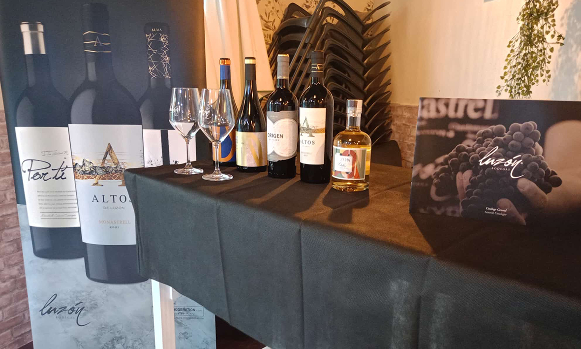vika vinocronikas vino para quedarse 3