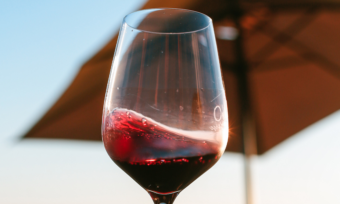vinocronikas vika enologia emocional vino para quedarse 17