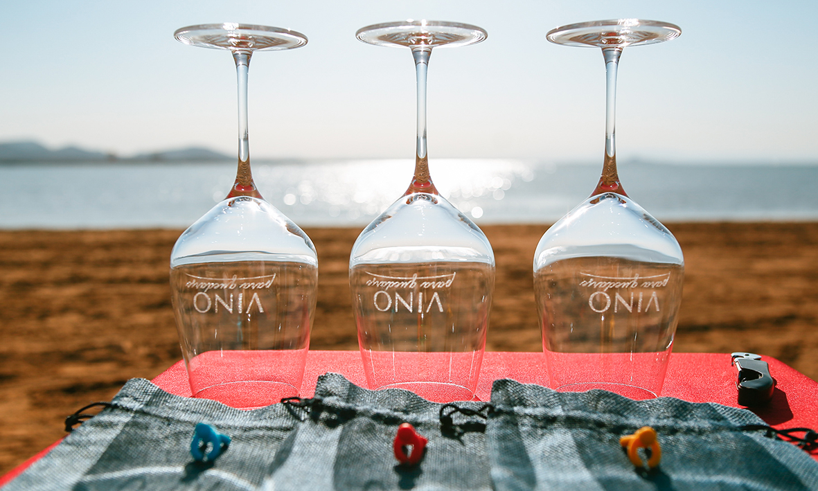 vinocronikas vika enologia emocional vino para quedarse 2