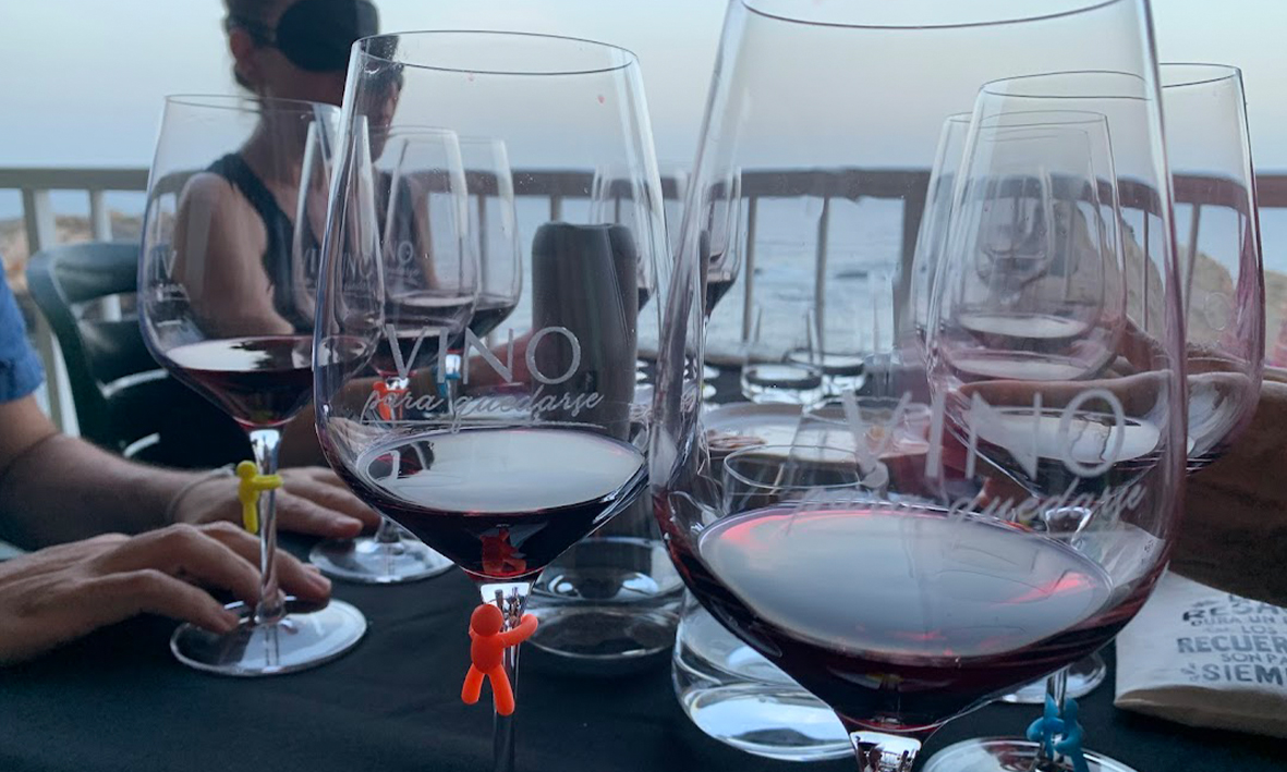 vinocronikas vika enologia emocional vino para quedarse 4