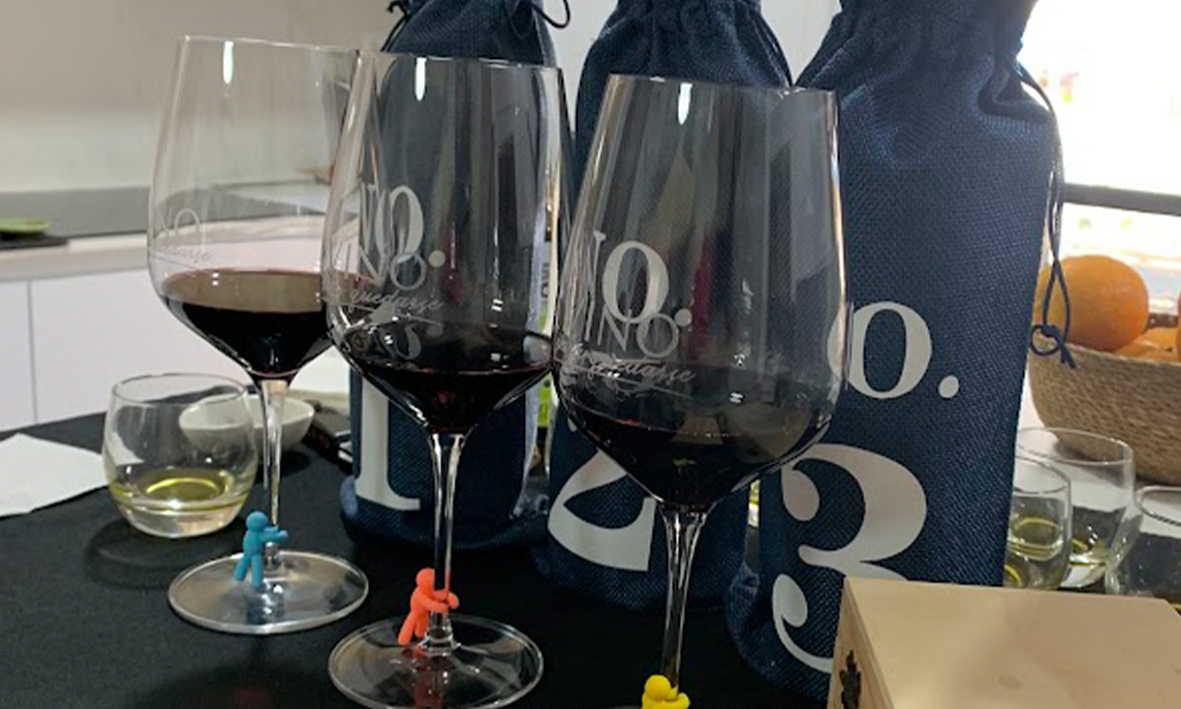 vinocronikas vika vino para quedarse enologia emocional 1