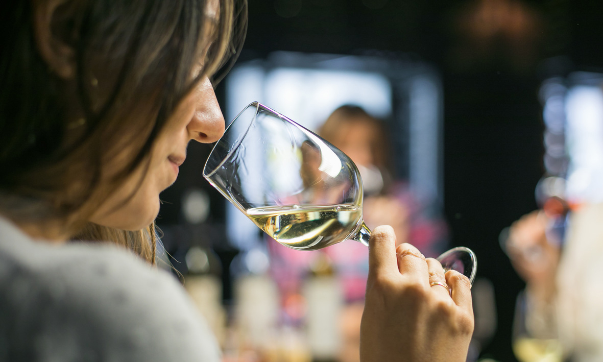 vika chispa vinocronika 3